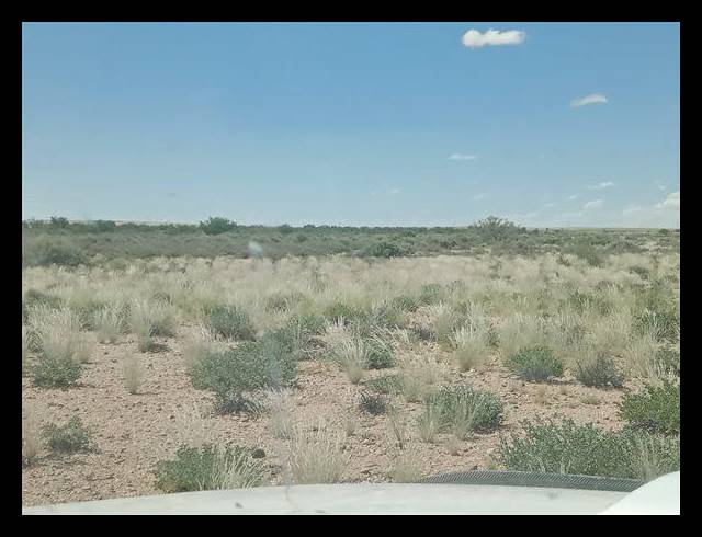 FARM FOR SALE IN KENHARDT